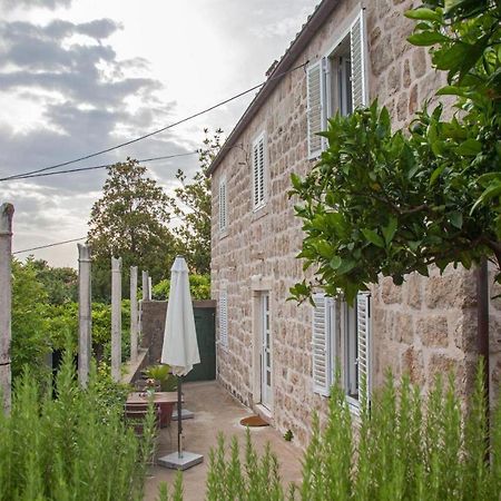 Apartments Maro & Baro Dubrovnik Rum bild